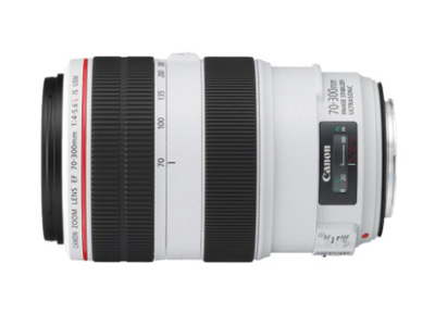 佳能70-300胖白镜头