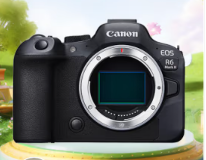 佳能（Canon）EOS R6 Mark II 