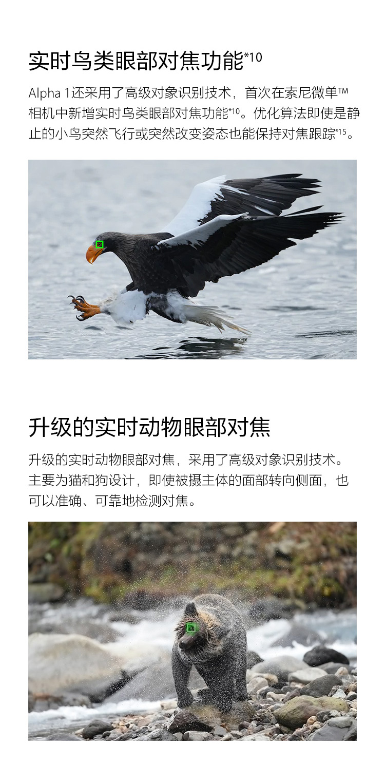 3ac48cc69783f7dc.jpg