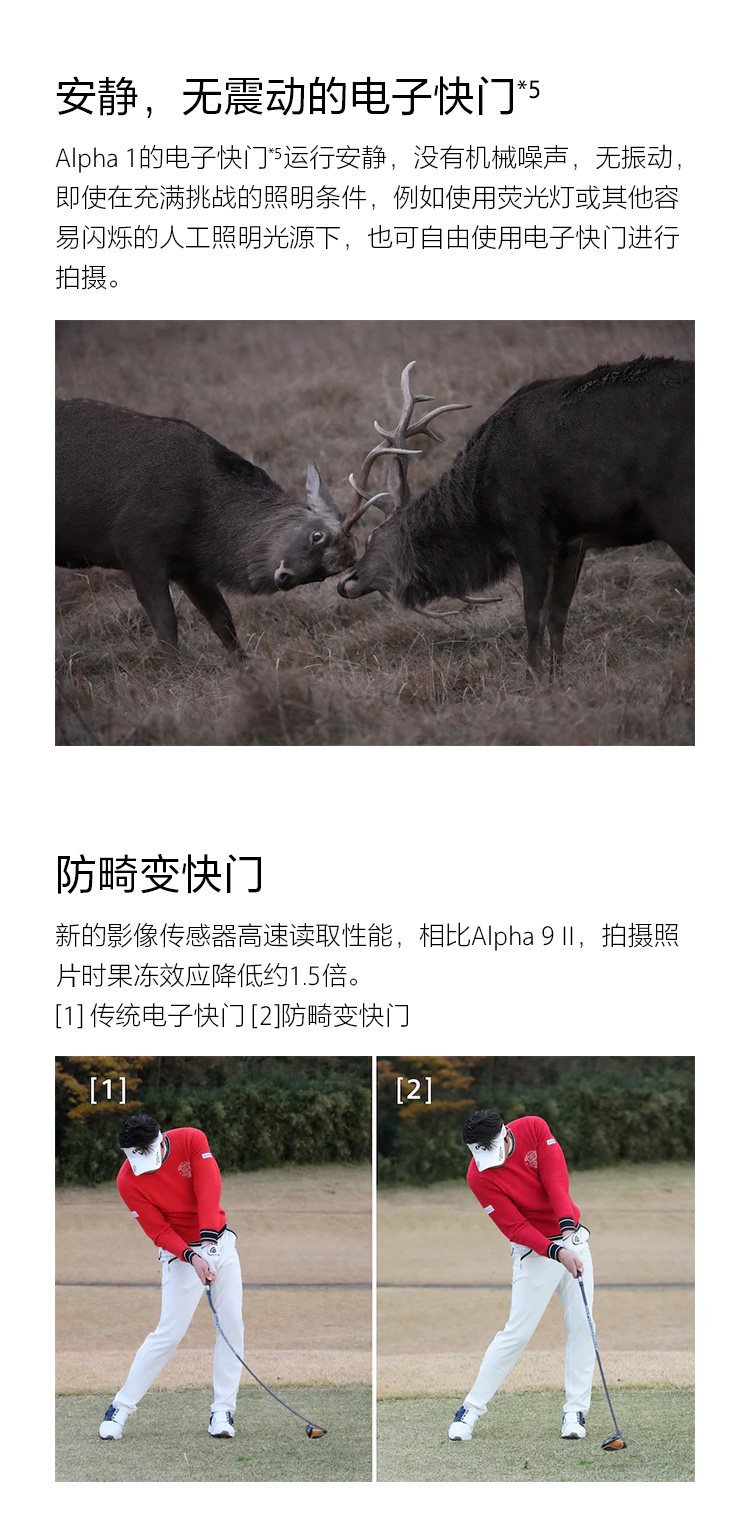 c897c2fa94820a1f.jpg